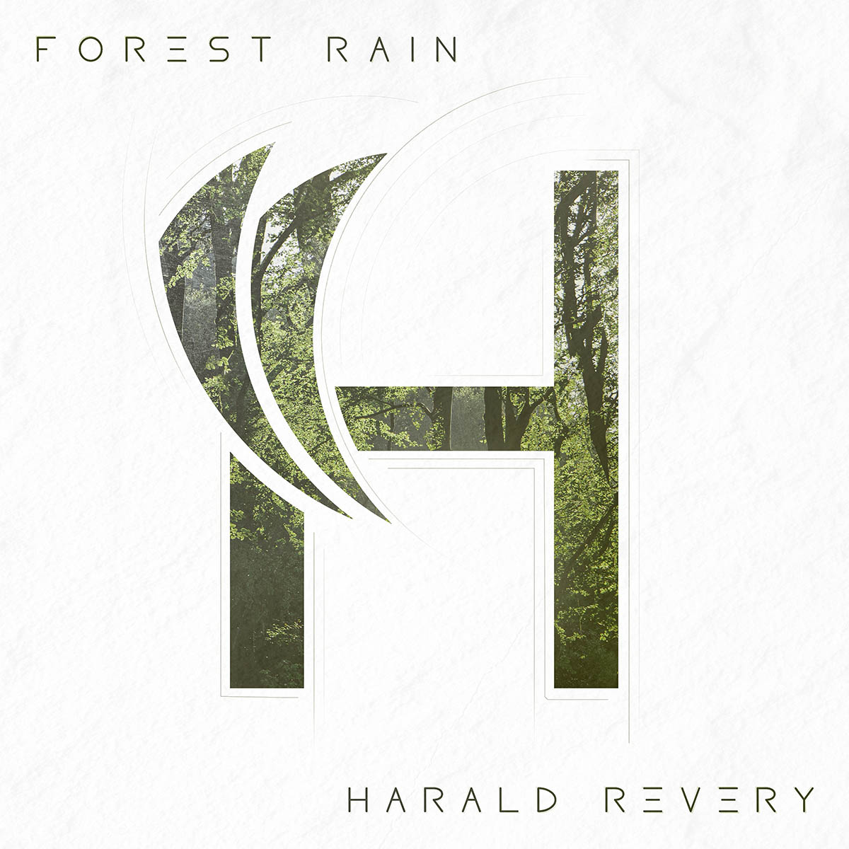 Forest Rain